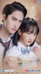 Fall In Love With My Trouble Season 1 (2021) ตอนที่ 1-30 จบ ซับไทย