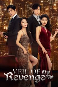 Veil of Revenge (2024) ซับไทย 24